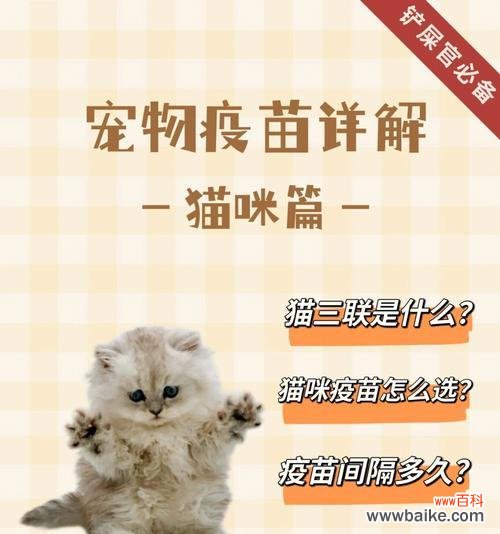 打疫苗的花语有何含义？打疫苗的花语代表什么？