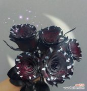 黑玫瑰十朵的花语是什么？送黑玫瑰有何特别意义？