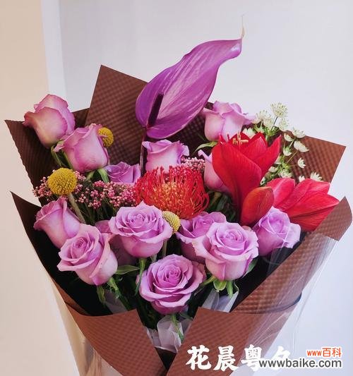 兔莓花束的花语寓意是什么？兔莓花束的象征意义有哪些？