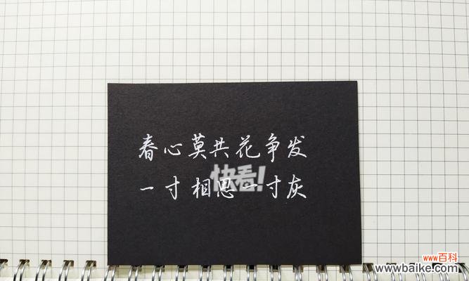 信教的花语代表什么?