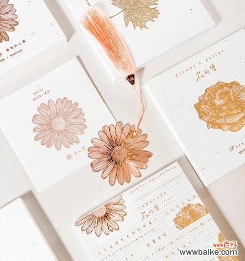 信教的花语代表什么?