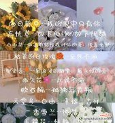 另一种意义的花语有何特别之处？花语中隐藏了哪些深意？