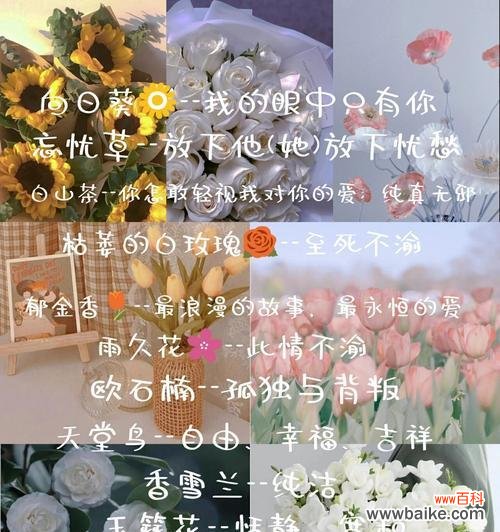 另一种意义的花语有何特别之处?花语中隐藏了哪些深意?