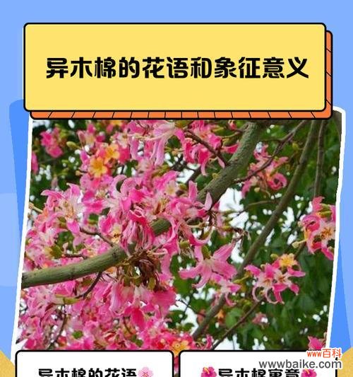 另一种意义的花语有何特别之处?花语中隐藏了哪些深意?