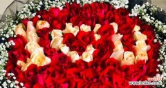 百寿花的花语有何深意？适合送给谁？