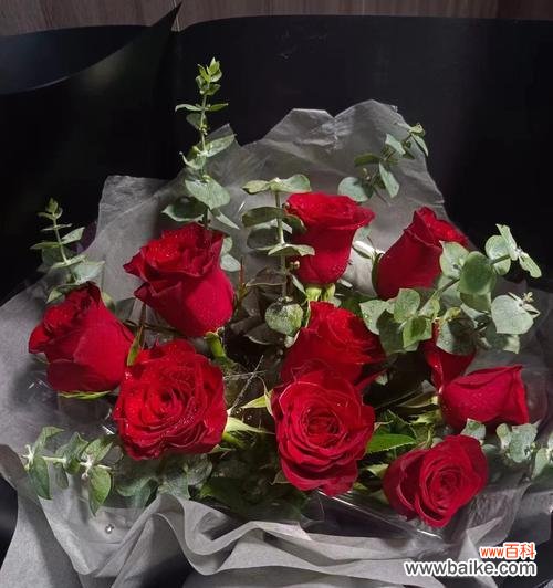 深夜送玫瑰合适吗？女生应该送什么花？