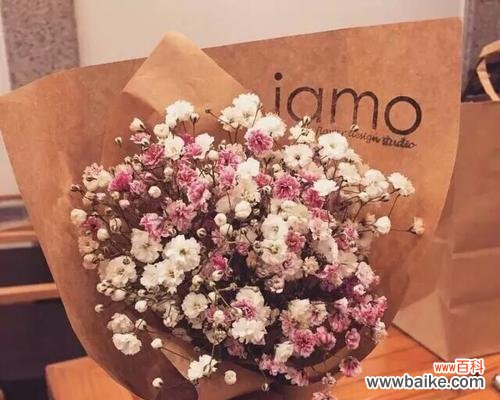 绽放如星辰,诉说深情的满天星花 满天星的花语与传说