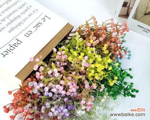 绚丽多彩的满天星花海,映照出大自然的无尽魅力 满天星