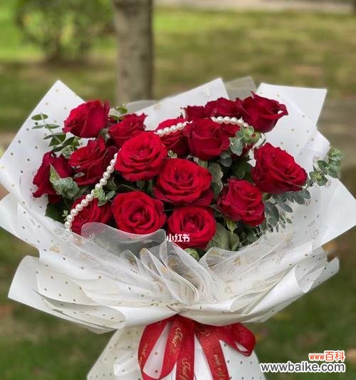 白玫瑰与红玫瑰的代表意义及情感表达 玫瑰花的象征意义与文化传承