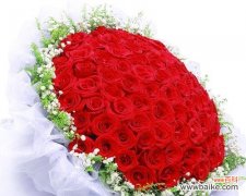 红玫瑰花的爱情之花 红玫瑰花的象征意义