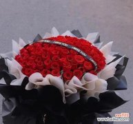 探寻红玫瑰的浪漫 红玫瑰花的寓意与象征