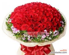 一朵红玫瑰背后的情感与象征 红玫瑰的美丽与含义