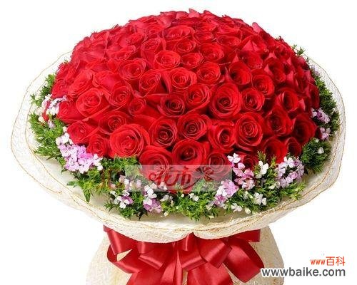 一朵红玫瑰背后的情感与象征 红玫瑰的美丽与含义