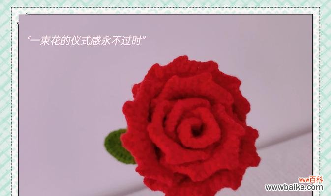 红玫瑰花语如何表达爱情？