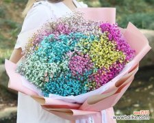 探寻满天星鲜花的深刻寓意和传统象征 满天星鲜花的象征意义与文化内涵