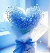 唤醒内心的浪漫梦境 满天星花语南色——盛夏的绚丽之美