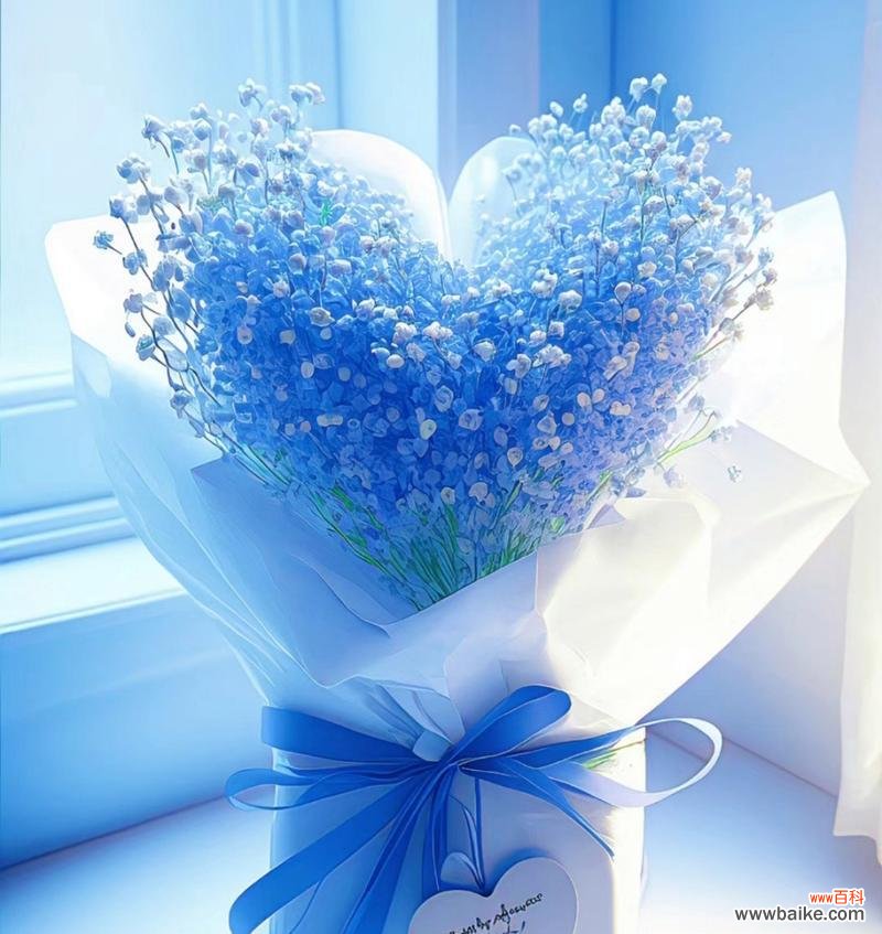 唤醒内心的浪漫梦境 满天星花语南色——盛夏的绚丽之美