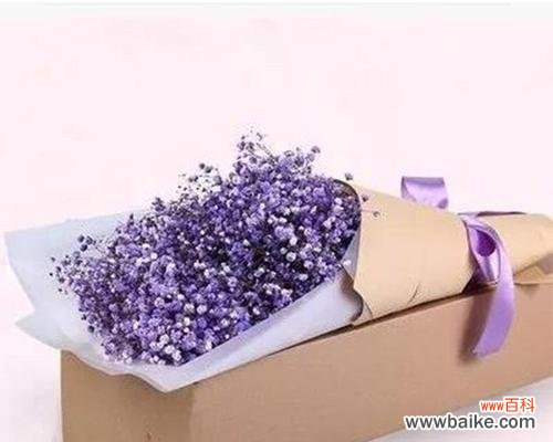 用满天星花语让青春绽放 满天星花语致青春