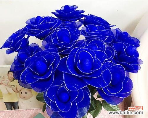 玫瑰花的世界 探寻玫瑰花的品种和含义