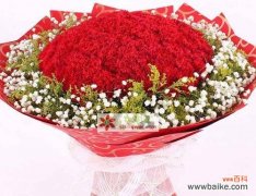 红色康乃馨花语和寓意 红色康乃馨