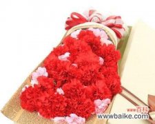 传递爱与热情的红色康乃馨 红色康乃馨花语与寓意