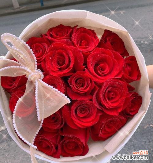 揭示红色玫瑰背后的秘密 红色玫瑰的象征意义