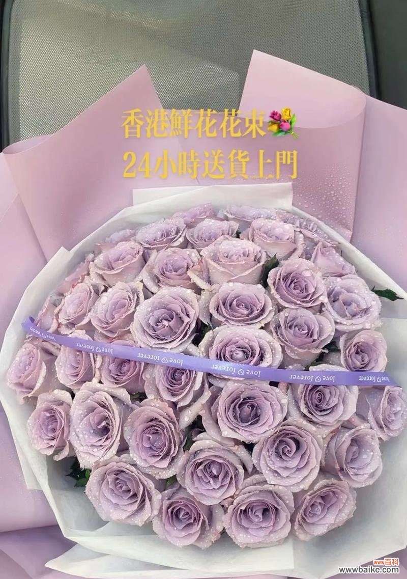 丝带玫瑰蓝紫色花语有何寓意?