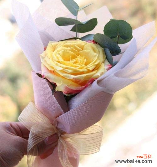 花语中重获幸福代表什么？如何表达这种情感？