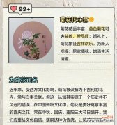 隐逸的爱花语是什么花？这种花语表达了怎样的爱情观？