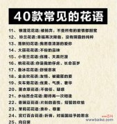 哪种花的花语象征着爱情？