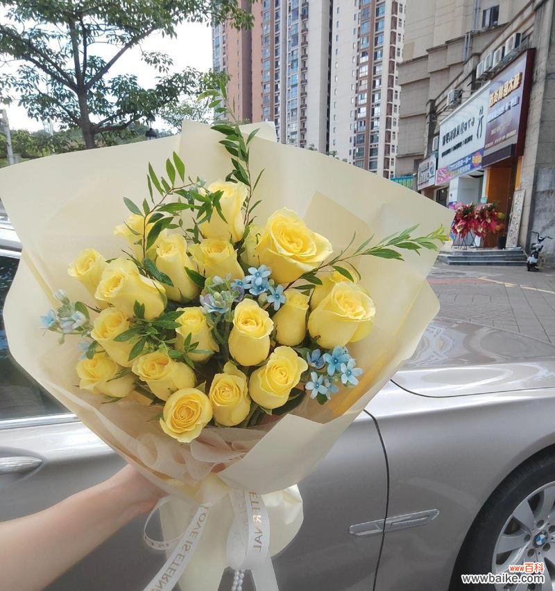 离别时道歉用什么花语合适？