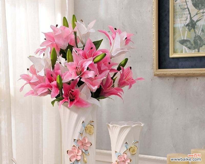 揭示生命之美的花朵——木本百合 木本百合的寓意与象征意义