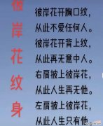 彼岸花的花语含义是什么？你知道吗？