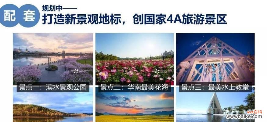 离开的别墅花语有何含义？如何正确理解？