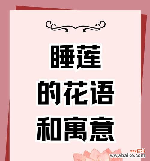 生菜的花语和寓意是什么?