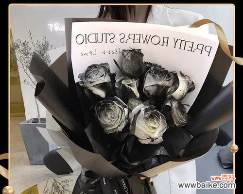 玫瑰花骑士花语是什么?玫瑰花骑士代表了什么意义?