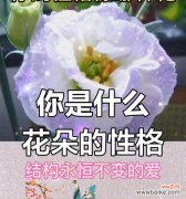 哪朵花的花语代表无尽奢华？