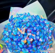 摇晃的蝴蝶花束有何寓意？