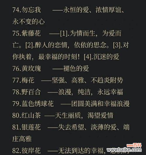 魔术和浪漫结合的花语是哪种花？