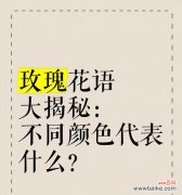 不同颜色玫瑰花的花语有何不同？
