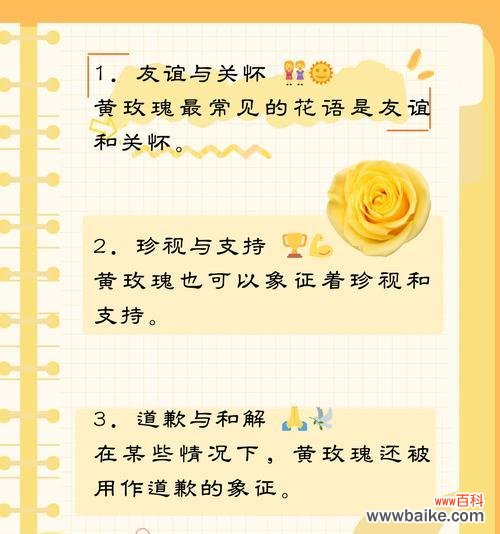 表白时送什么花语最合适？花语背后的含义是什么？