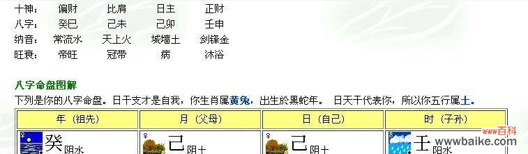 无形中的玫瑰代表什么?
