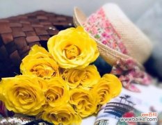 探索黄玫瑰花语 黄玫瑰花语与它的美丽寓意