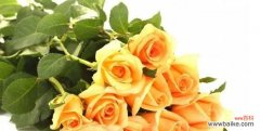 黄色玫瑰的多重寓意与心灵故事 黄色玫瑰的象征意义及美丽传承