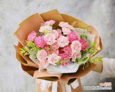 一朵黄色康乃馨的诗意与美丽 康乃馨的花语和寓意解读