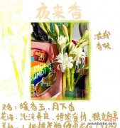 月下听花语表达的是什么？