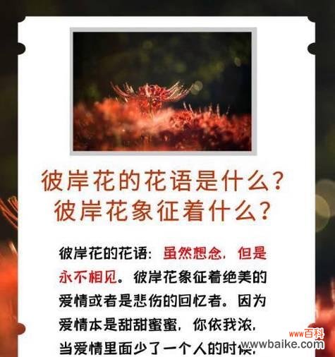 嫁出去的花语是什么意思?它象征着什么?