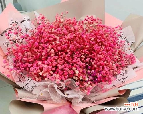 嫁出去的花语是什么意思?它象征着什么?