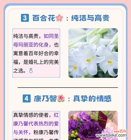 嫁出去的花语是什么意思?它象征着什么?