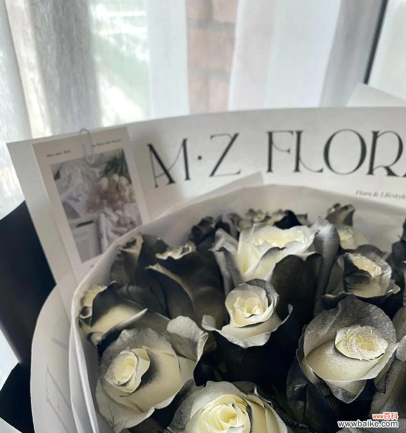 黑骑士玫瑰花语是什么?黑骑士玫瑰代表了什么?